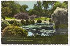 Dane Park and Lake 1962 [colour PC]